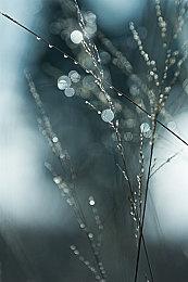 《龙珠：超宇宙2》新DLC角色“蒂斯破”公布 今夏上线